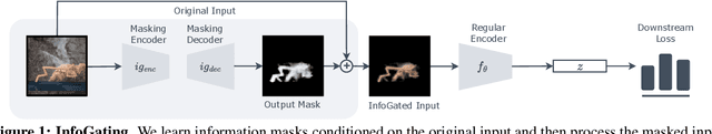 Figure 1 for Ignorance is Bliss: Robust Control via Information Gating