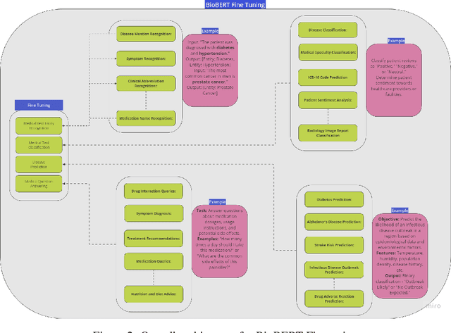 Figure 3 for An Analysis on Large Language Models in Healthcare: A Case Study of BioBERT