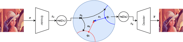 Figure 3 for HyperVQ: MLR-based Vector Quantization in Hyperbolic Space