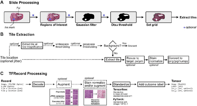 Figure 2 for Slideflow: Deep Learning for Digital Histopathology with Real-Time Whole-Slide Visualization