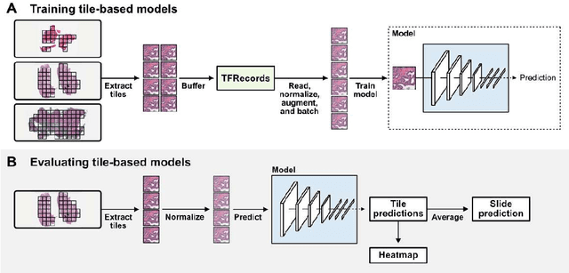 Figure 4 for Slideflow: Deep Learning for Digital Histopathology with Real-Time Whole-Slide Visualization