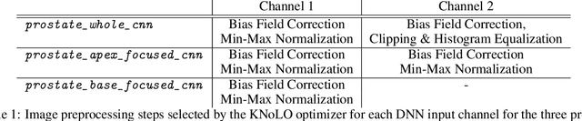 Figure 2 for SimpleMind adds thinking to deep neural networks