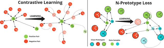 Figure 3 for Supervised Contrastive Prototype Learning: Augmentation Free Robust Neural Network