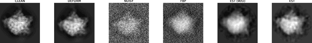 Figure 1 for Implicit Reconstructions from Deformed Projections for CryoET