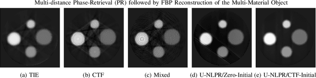 Figure 4 for Non-Linear Phase-Retrieval Algorithms for X-ray Propagation-Based Phase-Contrast Tomography