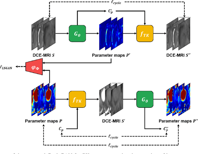 Figure 2 for Unpaired Deep Learning for Pharmacokinetic Parameter Estimation from Dynamic Contrast-Enhanced MRI