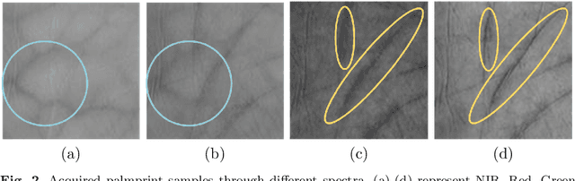 Figure 3 for Physics-Driven Spectrum-Consistent Federated Learning for Palmprint Verification