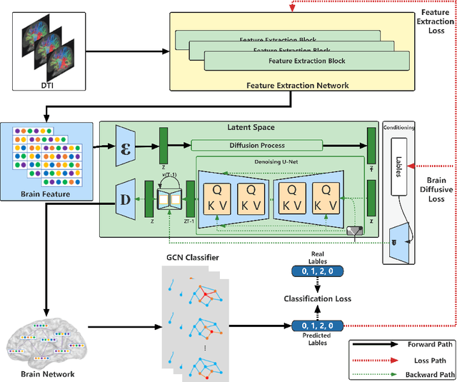 Figure 1 for Brain Diffuser: An End-to-End Brain Image to Brain Network Pipeline