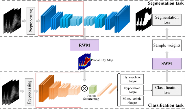 Figure 1 for A multi-task learning framework for carotid plaque segmentation and classification from ultrasound images