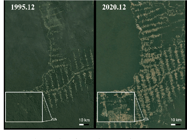Figure 1 for Rapid Deforestation and Burned Area Detection using Deep Multimodal Learning on Satellite Imagery