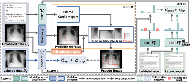 Figure 1 for You've Got Two Teachers: Co-evolutionary Image and Report Distillation for Semi-supervised Anatomical Abnormality Detection in Chest X-ray