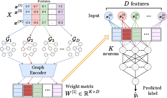 Figure 1 for Graph-Conditioned MLP for High-Dimensional Tabular Biomedical Data