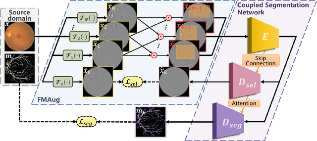 Figure 1 for Frequency-mixed Single-source Domain Generalization for Medical Image Segmentation