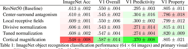 Figure 2 for Explaining V1 Properties with a Biologically Constrained Deep Learning Architecture