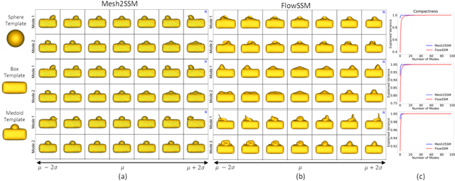 Figure 1 for Mesh2SSM: From Surface Meshes to Statistical Shape Models of Anatomy