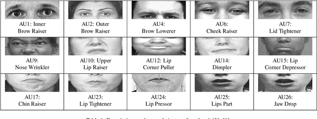 Figure 2 for Occlusion-Robust FAU Recognition by Mining Latent Space of Masked Autoencoders