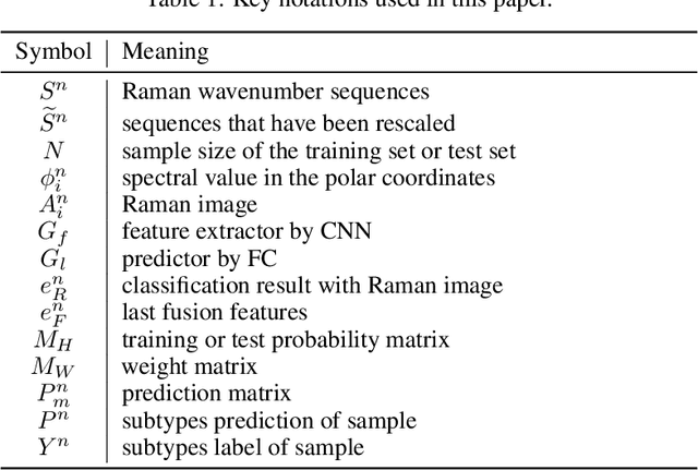 Figure 2 for Multi-Modality Multi-Scale Cardiovascular Disease Subtypes Classification Using Raman Image and Medical History