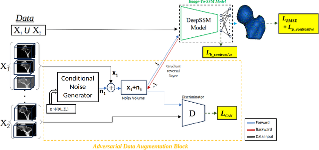 Figure 1 for ADASSM: Adversarial Data Augmentation in Statistical Shape Models From Images