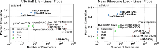 Figure 1 for Splicing Up Your Predictions with RNA Contrastive Learning