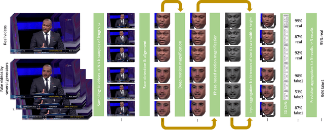 Figure 1 for How Do Deepfakes Move? Motion Magnification for Deepfake Source Detection