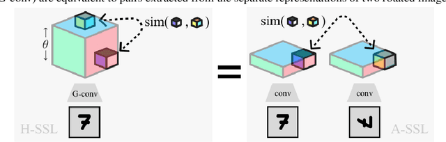 Figure 1 for Homomorphic Self-Supervised Learning