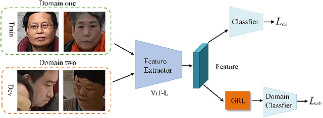 Figure 4 for Surveillance Face Presentation Attack Detection Challenge
