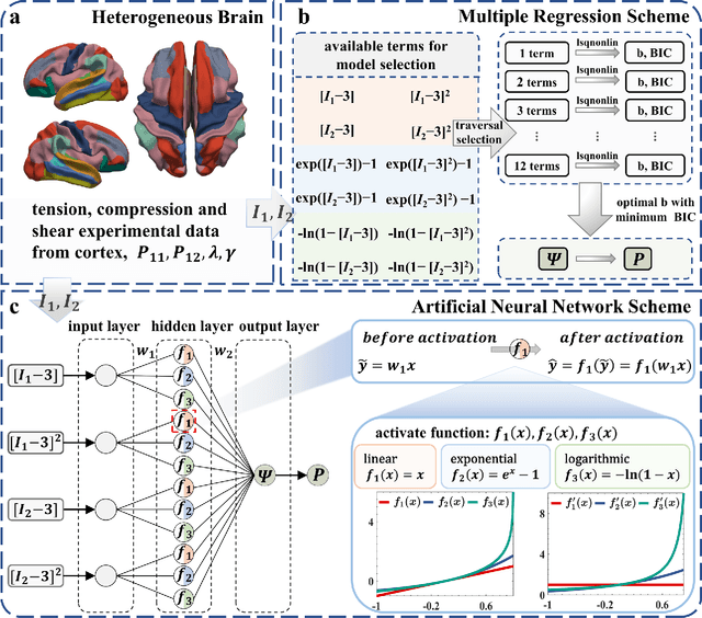 Figure 1 for Exploring hyperelastic material model discovery for human brain cortex: multivariate analysis vs. artificial neural network approaches