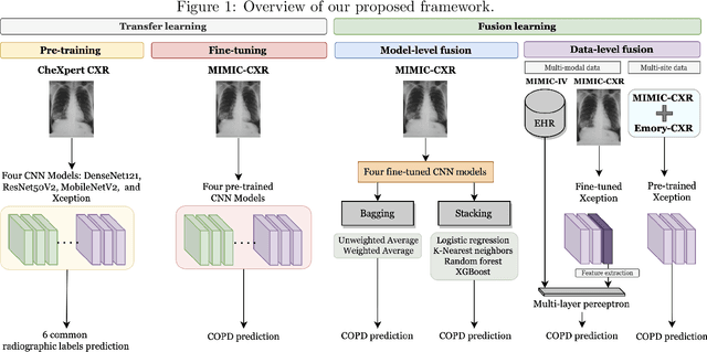 Figure 2 for Early Diagnosis of Chronic Obstructive Pulmonary Disease from Chest X-Rays using Transfer Learning and Fusion Strategies