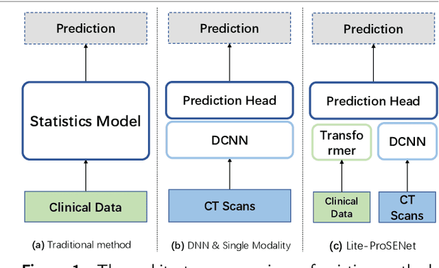 Figure 1 for Multimodal Learning for Non-small Cell Lung Cancer Prognosis