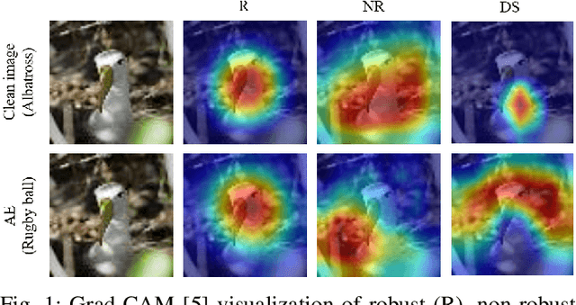Figure 1 for Exploring Robust Features for Improving Adversarial Robustness