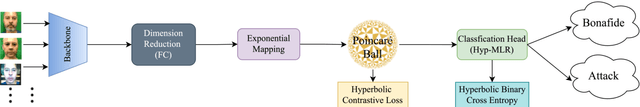 Figure 3 for Hyperbolic Face Anti-Spoofing