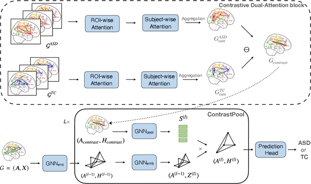 Figure 1 for Contrastive Graph Pooling for Explainable Classification of Brain Networks