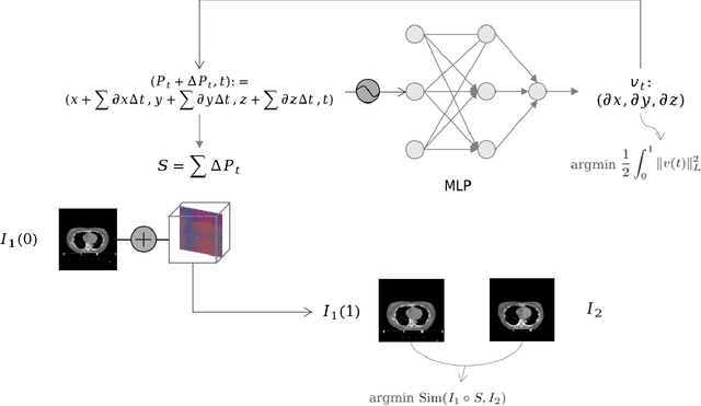 Figure 1 for INR-LDDMM: Fluid-based Medical Image Registration Integrating Implicit Neural Representation and Large Deformation Diffeomorphic Metric Mapping