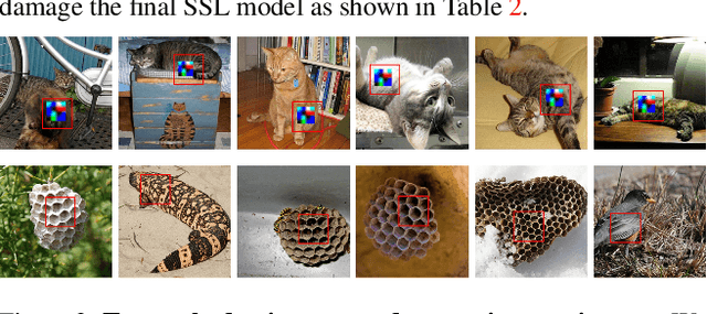 Figure 4 for Defending Against Patch-based Backdoor Attacks on Self-Supervised Learning