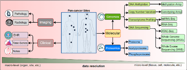 Figure 4 for Multimodal Data Integration for Oncology in the Era of Deep Neural Networks: A Review