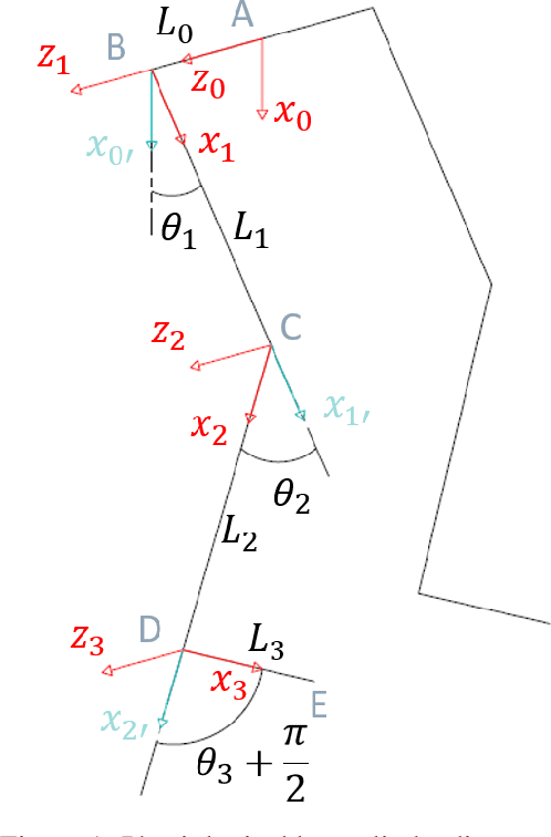 Figure 1 for Kinematics and Dynamics Modeling of 7 Degrees of Freedom Human Lower Limb Using Dual Quaternions Algebra