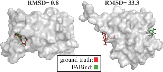 Figure 1 for FABind+: Enhancing Molecular Docking through Improved Pocket Prediction and Pose Generation