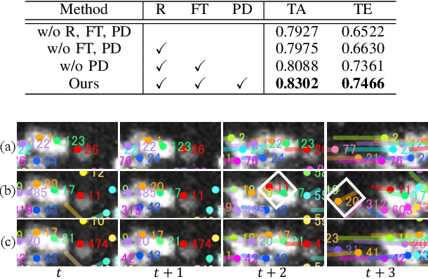 Figure 3 for Cell Tracking in C. elegans with Cell Position Heatmap-Based Alignment and Pairwise Detection
