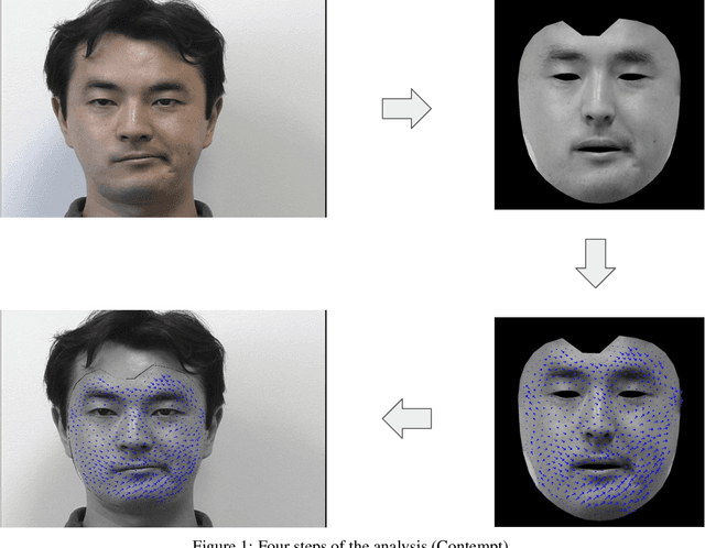 Figure 1 for Detection of (Hidden) Emotions from Videos using Muscles Movements and Face Manifold Embedding