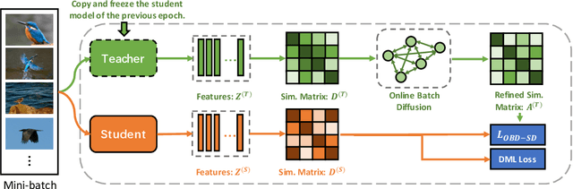 Figure 1 for Self-distillation with Online Diffusion on Batch Manifolds Improves Deep Metric Learning