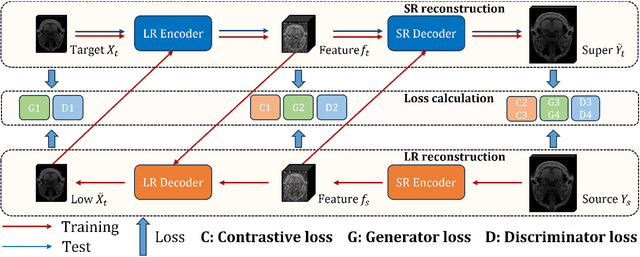 Figure 1 for Unpaired MRI Super Resolution with Self-Supervised Contrastive Learning