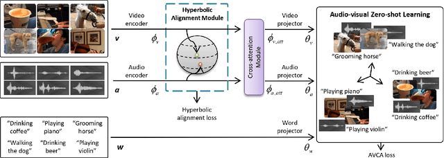 Figure 1 for Hyperbolic Audio-visual Zero-shot Learning