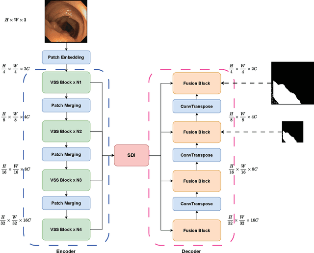 Figure 1 for VM-UNET-V2 Rethinking Vision Mamba UNet for Medical Image Segmentation