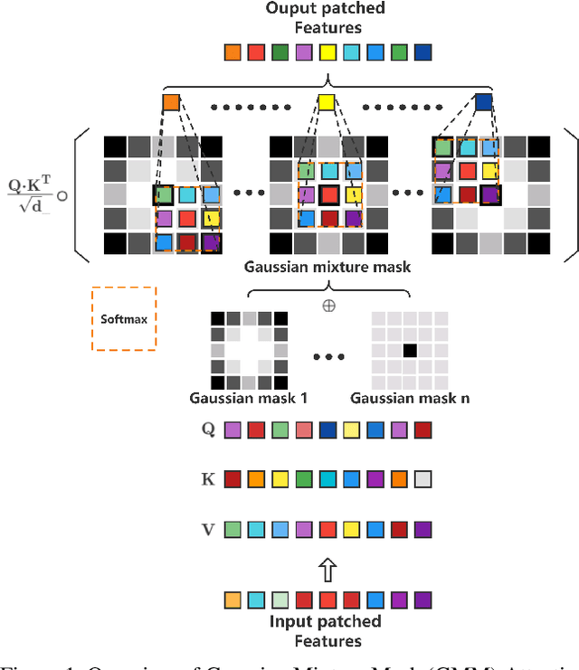 Figure 1 for CNN or ViT? Revisiting Vision Transformers Through the Lens of Convolution