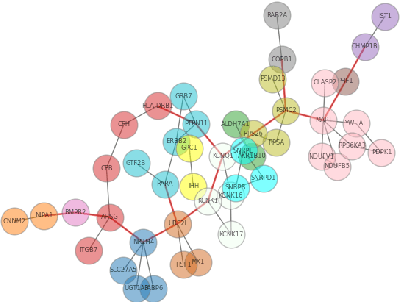 Figure 4 for Two Novel Approaches to Detect Community: A Case Study of Omicron Lineage Variants PPI Network