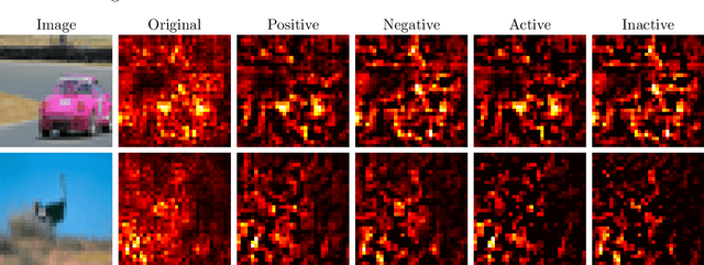 Figure 2 for A matter of attitude: Focusing on positive and active gradients to boost saliency maps