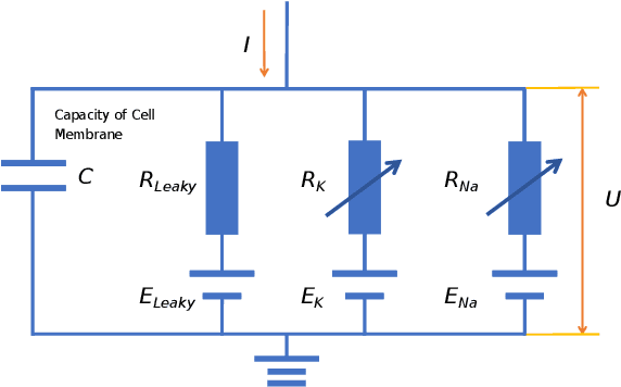 Figure 3 for A Survey of Spiking Neural Network Accelerator on FPGA