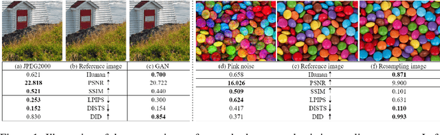 Figure 1 for From Distance to Dependency: A Paradigm Shift of Full-reference Image Quality Assessment