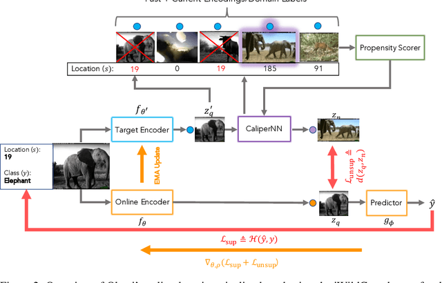 Figure 3 for Okapi: Generalising Better by Making Statistical Matches Match