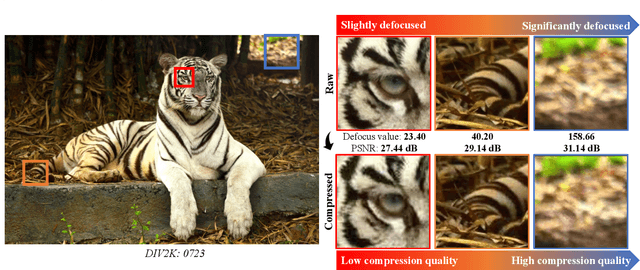 Figure 1 for DAQE: Enhancing the Quality of Compressed Images by Finding the Secret of Defocus
